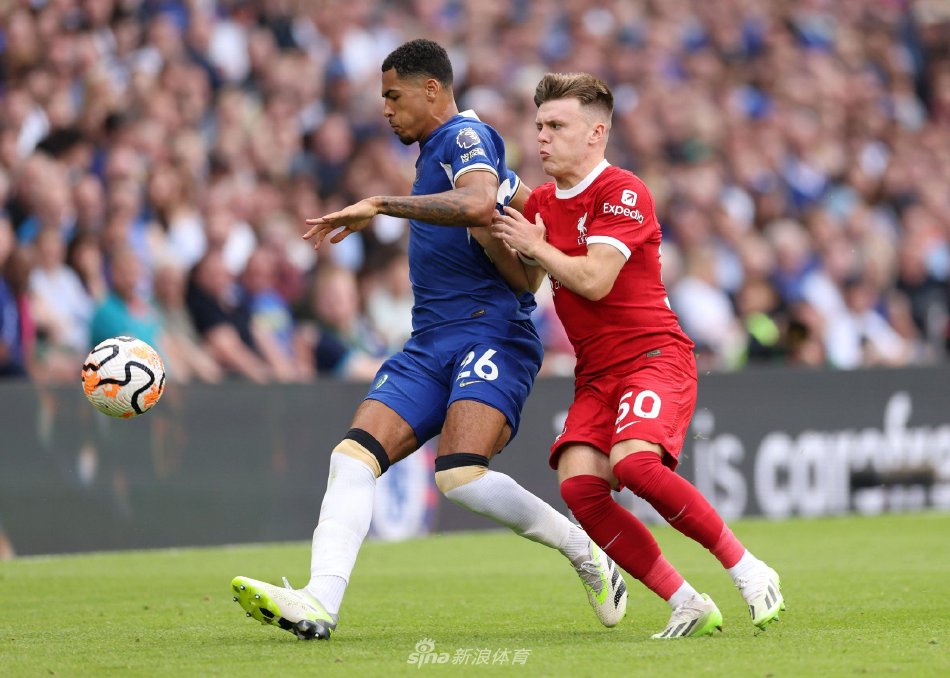 他的高效和 他的高效和