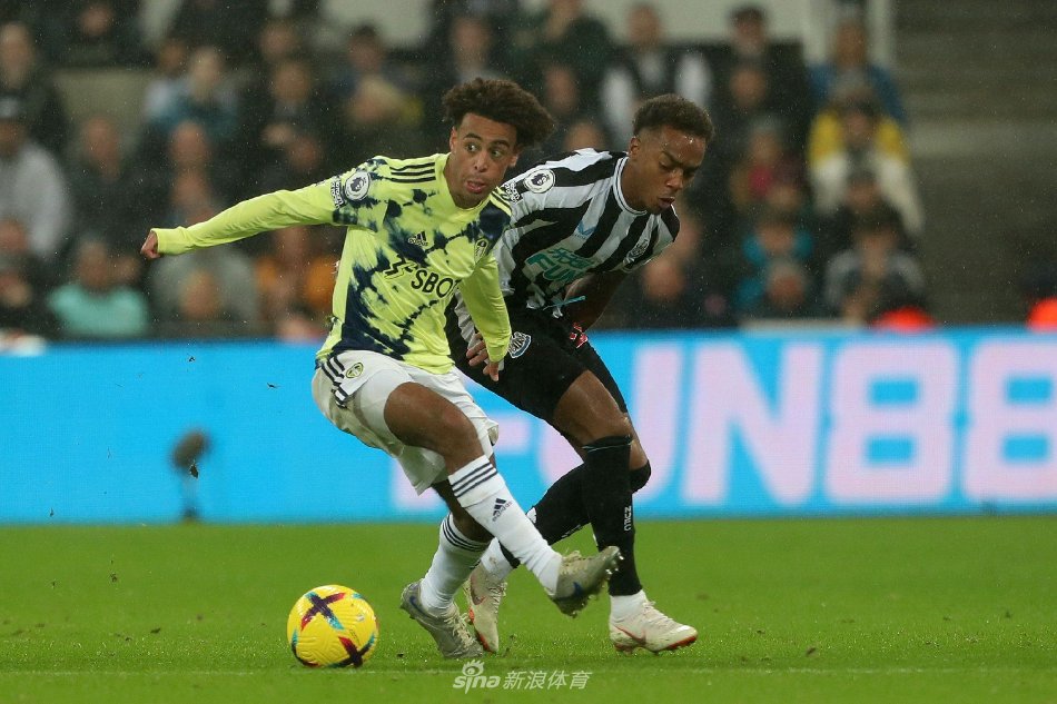 性的团队 性的团队